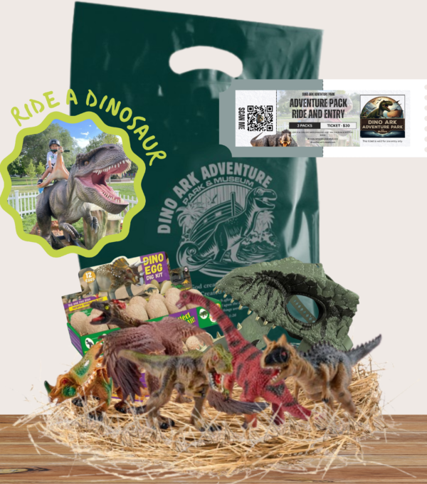 2025 Adventure Package 2025 - Image 3
