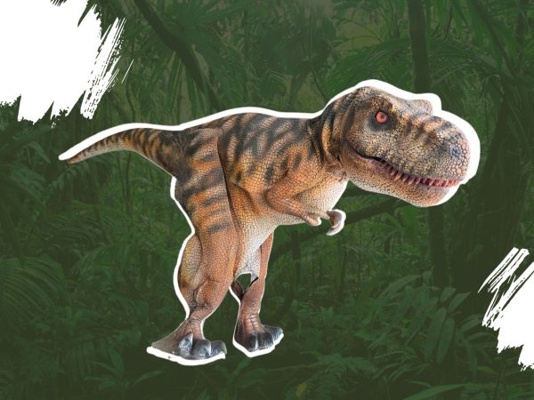 dino morph zone 600x450